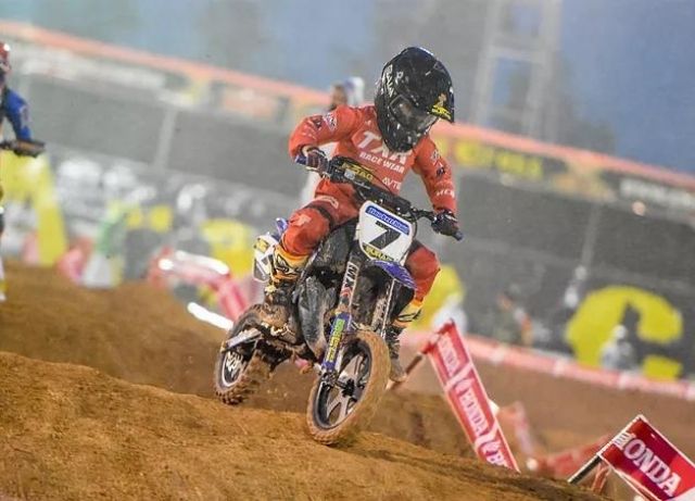 arena cross-capa