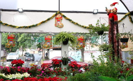 Vitrine natal