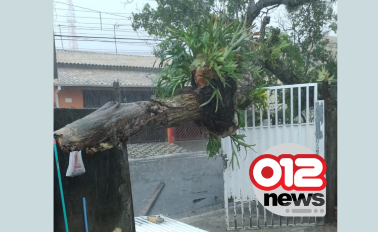 Chuva alaga avenida Brasil e derruba árvores em Caçapava