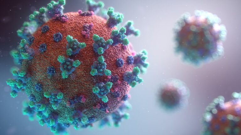 H3N2 caraguatatuba