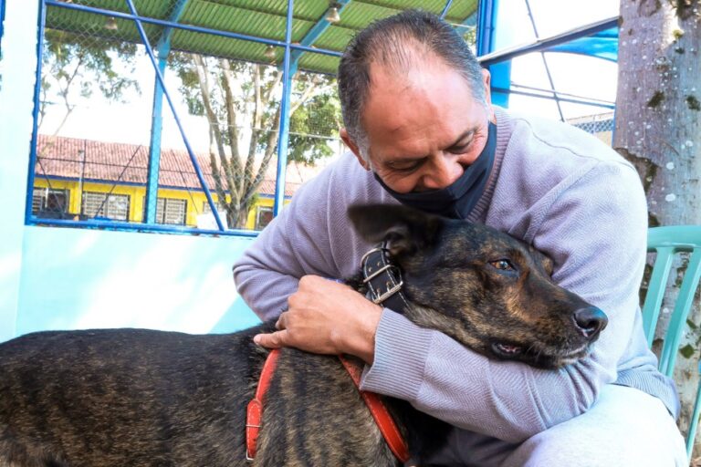 São José dos Campos inicia novas castrações do Meu Pet Feliz