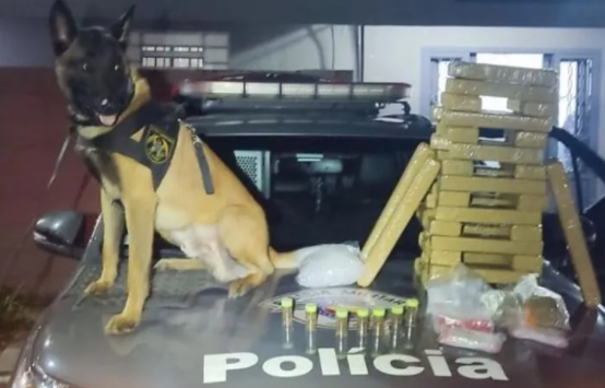 BAEP apreende mais de 30 kg de maconha em São José dos Campos