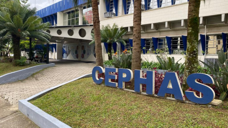 Fundhas SJC tem 1.240 vagas para cursos EAD