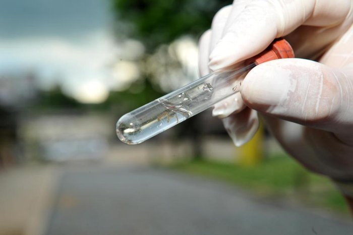 Foi divulgado pela Secretaria de Saúde de Taubaté, nesta terça-feira (15) a Análise de Densidade Larvária (ADL) que verificou os índices de infestação de larvas do mosquito Aedes aegypti no mês de janeiro. Esta foi uma ação conjunta com o Controle de Animais Sinantrópicos (CAS).
