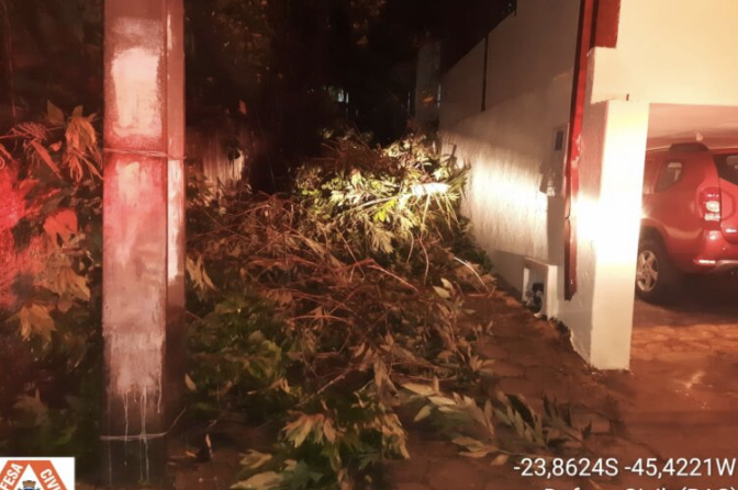 Defesa Civil de Ilhabela desobstrui via por queda de árvores em função das chuvas