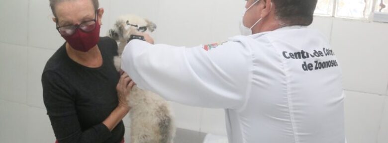 CCZ de Caraguatatuba aplica vacina antirrábica em animais da cidade