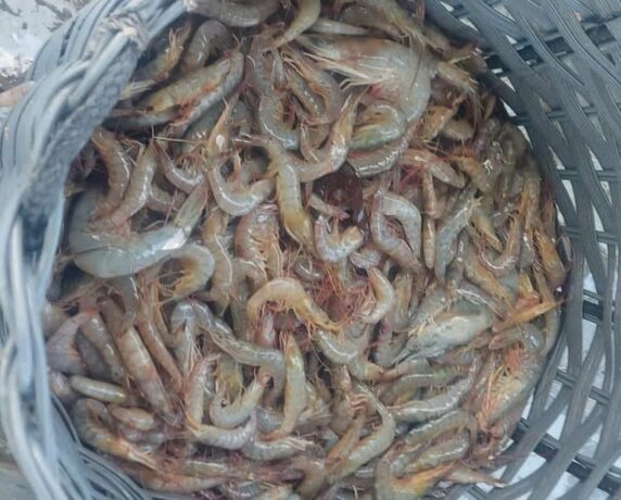 Embarcação é apreendida por pesca sem documentação em Caraguatatuba