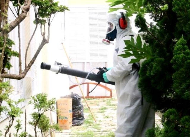 combate a dengue-caragua-capa-012