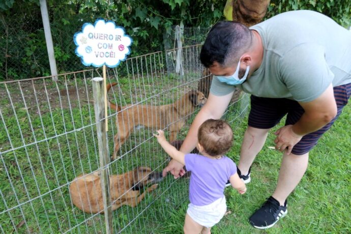 São José dos Campos realiza feira de adoção de cães e gatos neste sábado (19)