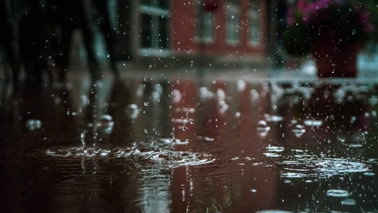 frente fria-capa