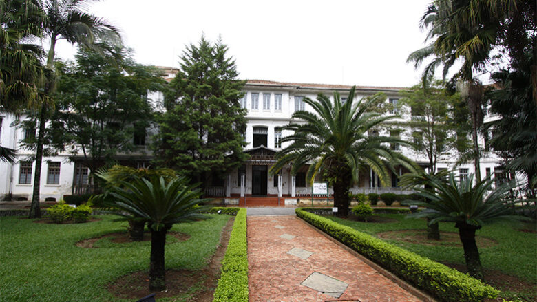 feirinha de orgânicos vicentina-capa