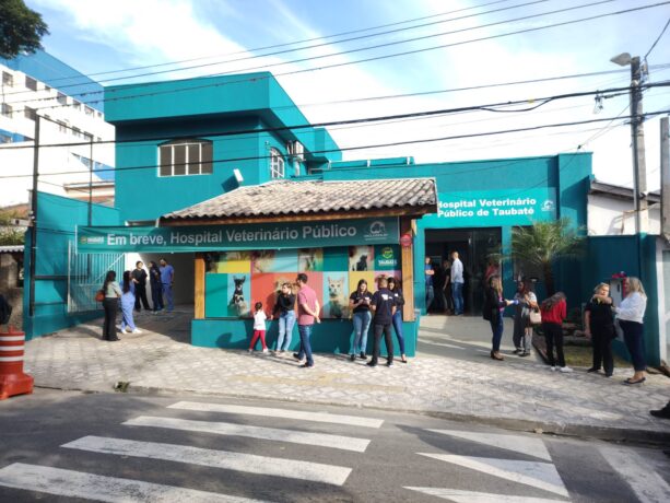 corpo