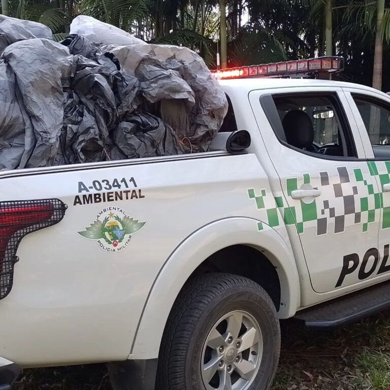 balão-monteiro lobato-polícia ambiental-capa