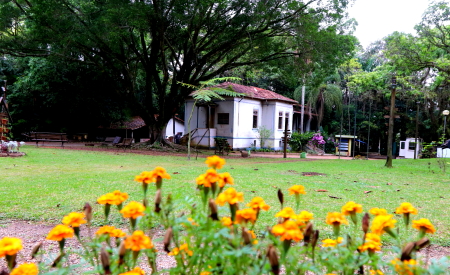 festival da primavera-capa