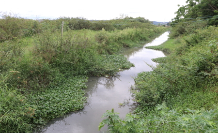 Córrego do Tanquinho em Jacareí