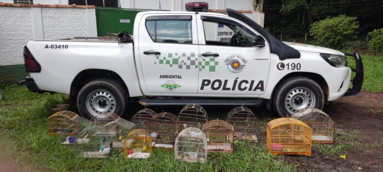 Polícia ambiental apreende aves irregulares em Potim