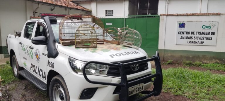 Polícia ambiental apreende aves irregulares em Potim
