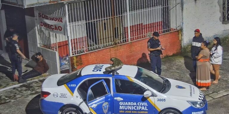 furto de moto-capa