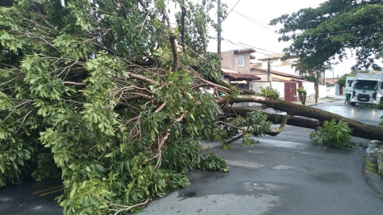 Chuva forte causa diversas ocorrências à Defesa Civil de Taubaté