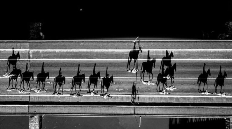 Guaratinguetaense é Medalhista De Ouro em Festival De Fotografia Popular Do Brasil