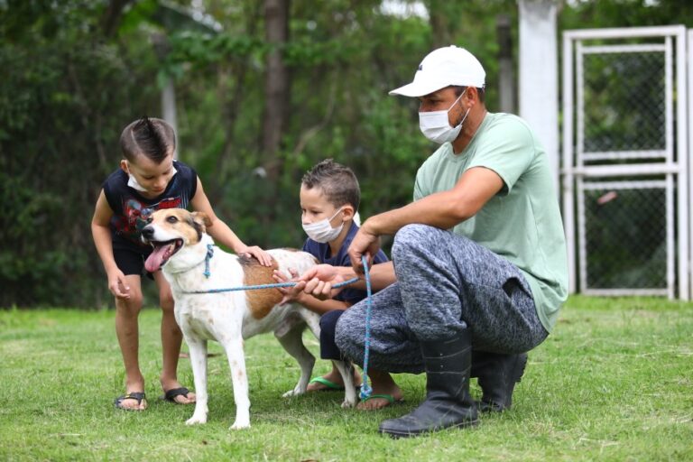 São José dos Campos promove feira de adoção no próximo sábado (17)