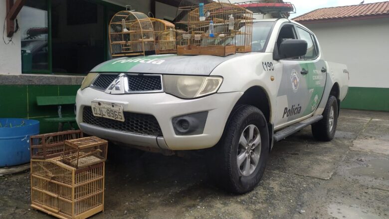 Polícia Militar Ambiental apreende 40 aves na região