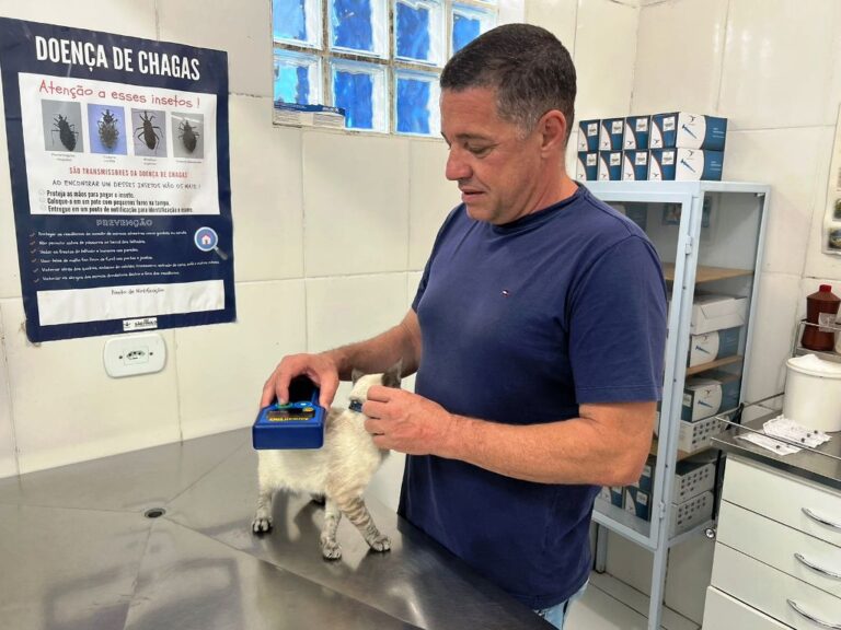 Prefeitura de Caraguatatuba abre 200 vagas de castração de cães e gatos nesta sexta-feira (13)