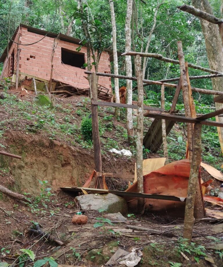 Prefeitura de Ilhabela remove três construções irregulares em Área de Preservação Permanente na Estrada do Camarão