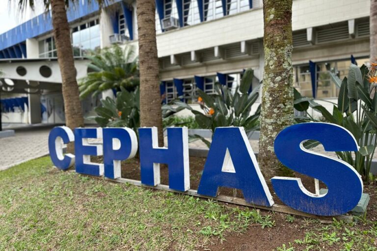 São oferecidas 400 vagas em seis cursos técnicos gratuitos: administração, enfermagem, mecânica, eletrônica, química e edificações - Foto: PMSJC