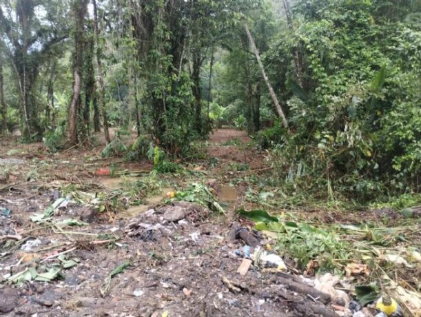 Crime Ambiental em São Sebastião: Prefeitura Intervém e Embarga Obra
