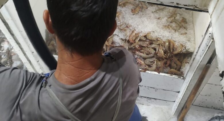 Polícia Ambiental Marítima Apreende Quase 2 Toneladas de Pescado