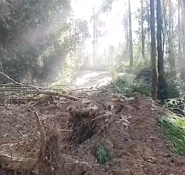 Deslizamento de Terra em Salesópolis Interrompe Tráfego e Impacta Turistas
